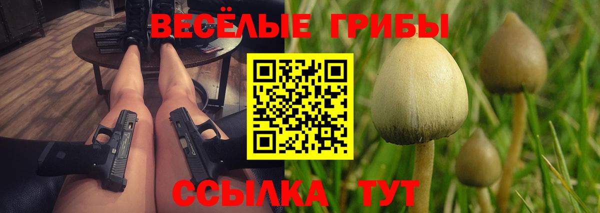 Псилоцибиновые грибы Psilocybe  Псилоцибиновые грибы MAGIC MUSHROOMS  Вход с VPN  цена наркотик  Шелехов 